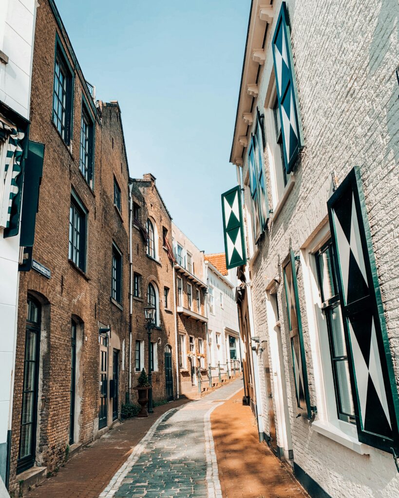 Ayahuasca in Schiedam