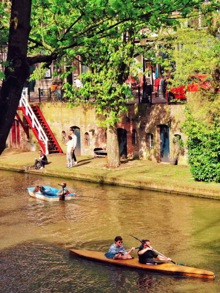 Ayahuasca ceremonie in Utrecht